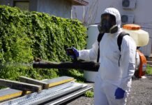 Exterminarea șobolanilor din depozitele de cereale și contracte de deratizare în Cluj-Napoca