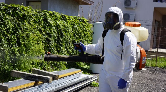 Exterminarea șobolanilor din depozitele de cereale și contracte de deratizare în Cluj-Napoca